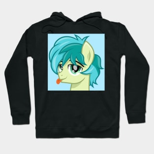 Sandbar Portrait Hoodie